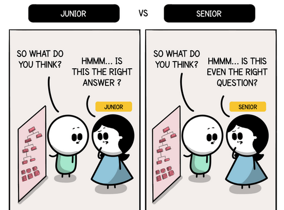 senior developer reinforcing the solution to the problem